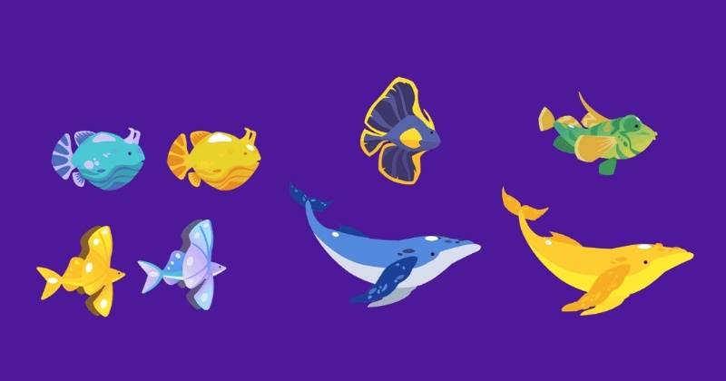 What is the best fish in Tiny Fishing? 7 top catches ranked